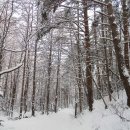 [강원] 눈꽃의 향연 속으로 ~ 태백산 겨울 나들이 (당골, 눈꽃축제장, 석탄박물관) 이미지