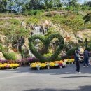 피나클랜드 이미지