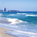 바다사랑투 이미지