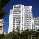 분당-226 이미지