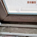 로이클린 이미지