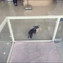 노형동물병원 이미지