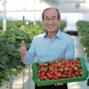 최병현농장 티스토리