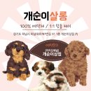 개순이 살롱 이미지