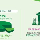 플러스동물의료센터 이미지