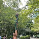 절물자연휴양림 | 제주도 절물자연휴양림 한라수목원 방문후기