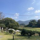 미헤어카페 이미지