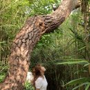 라온스파펜션 이미지