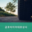 금호타이어대호