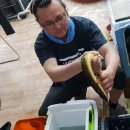 칭구장어 이미지