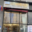 멍블랑강아지분양시흥배곧점