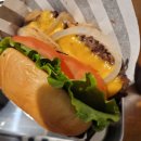 [내돈내산] 대전맛집 그래비패티버거 - 수제버거