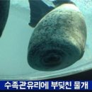 한전아트센터스포츠클럽 이미지