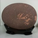 골목대장 이미지