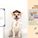펫 프렌들리? 이젠 펫 휴머니제이션의 시대!
