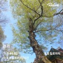 은선