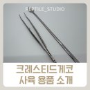 슈퍼 마이크로 키친 | 크레스티드게코 사육 용품 소개. 노하우가 담긴 사육 용품 리뷰