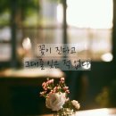 Lately..(최근에..) 이미지