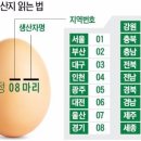 정화농장 이미지