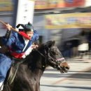 당진 승마장 이미지