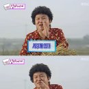 (유)골드환경산업 | 이선민 알부민 골드 부모님께 선물해 드리고 작성하는 내돈내산 후기