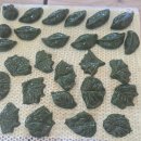 송죽마을 이미지