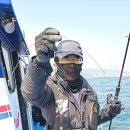 참가자미 이미지