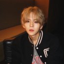 요시 이미지