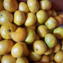 나영농장 이미지