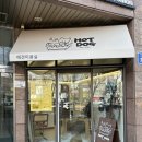 The dog 애견미용샵 | 첨단애견미용 잘하는 곳 찾았다｜광주 말티즈미용후기 핫도그펫살롱 방문기