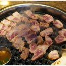 노형근고기 이미지