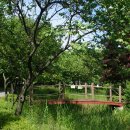 나무고아원 이미지