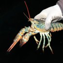 연곡낚시터 이미지