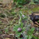 안이하우스 이미지