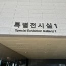 꿈꾸는 댕 이미지