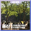 (주)초록배낭 이미지