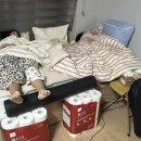 나영장 이미지