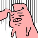 진도야족발보쌈 이미지