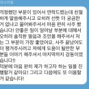 타로와 사주 저렴히 봐드립니다 이미지