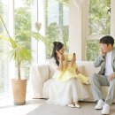 로즈오브샤론