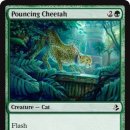 [AKH] Pouncing Cheetah 이미지