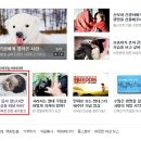월드와이드원더