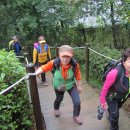 우면산3-29 이미지