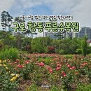 푸른장미 | 서울 장미 명소 | 항동 푸른수목원 산책 후기🌹