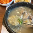 마포인삼 | [마포] 몸보신 제대로 되는 삼계탕 맛집 "삼계보감 마포공덕점" 녹두삼계탕 후기 🍲