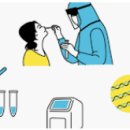 선화 행정사사무소 이미지