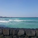 종달리 생개납 돈짓당 이미지