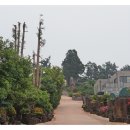 석부작박물관 이미지