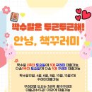 횡성교육도서관 티스토리