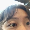 보까보까 이미지